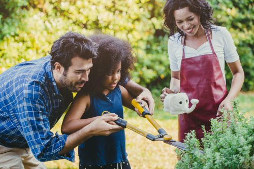 6 expert tips to get your garden summer ready on a budget
