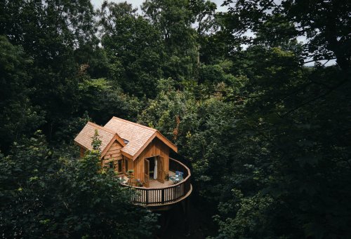 These might just be the coolest new treehouses in the UK