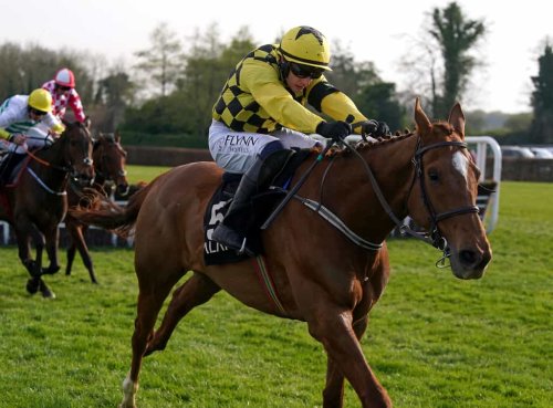 Mullins hoping Cheltenham experience can aid State’s case