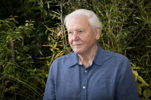Sir David Attenborough’s new series Green Planet premieres in Glasgow amid Cop26