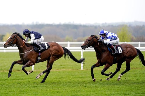 Evans confident Rohaan can mix it on Champions Day