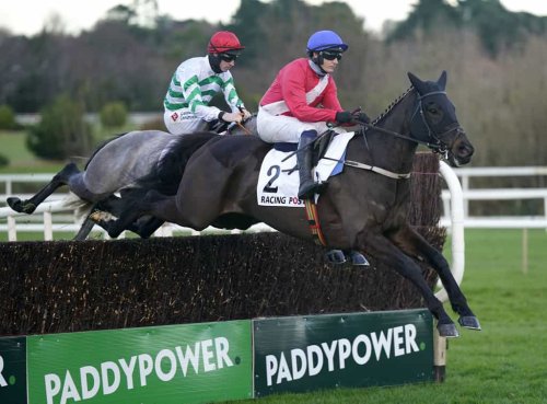 Ferny Hollow Suffers Season ending Tendon Injury Flipboard