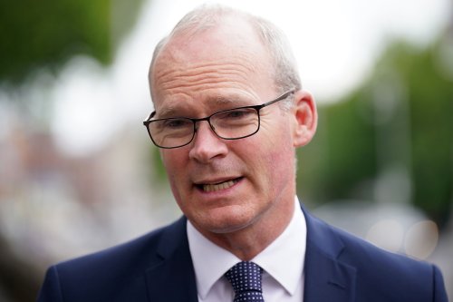 Referendums which back Russian rule in Ukraine a sham – Coveney