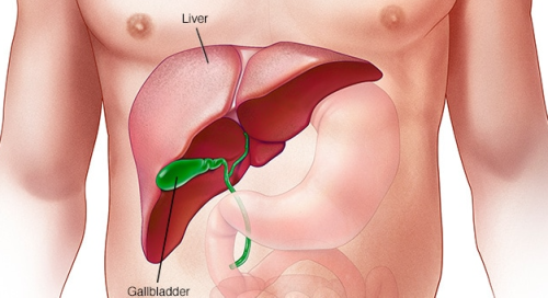 8 Unexpected Signs of Liver Damaged That Show You Need to Visit a Doctor ASAP