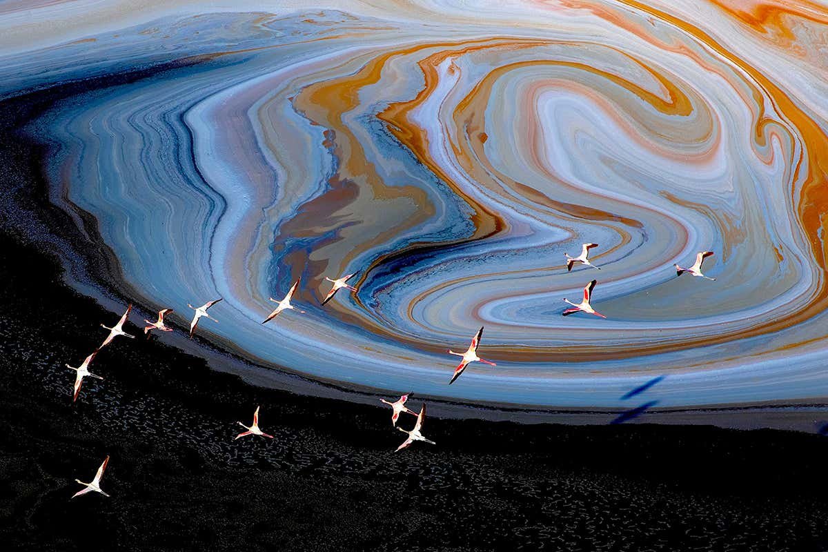 Flamingos fly over the alien-like landscape of Kenya’s Lake Magadi
