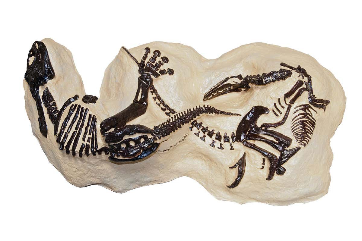 The sale of the duelling dinosaurs fossil may be bad news for science