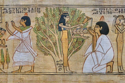 Wasabi could help preserve ancient Egyptian papyrus artefacts