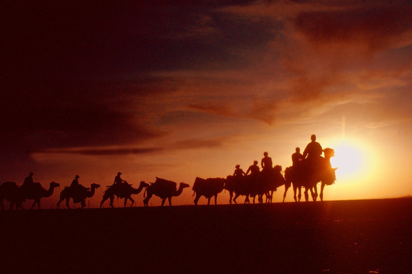 The ancient Silk Road city that has a lesson for Silicon Valley | New Scientist