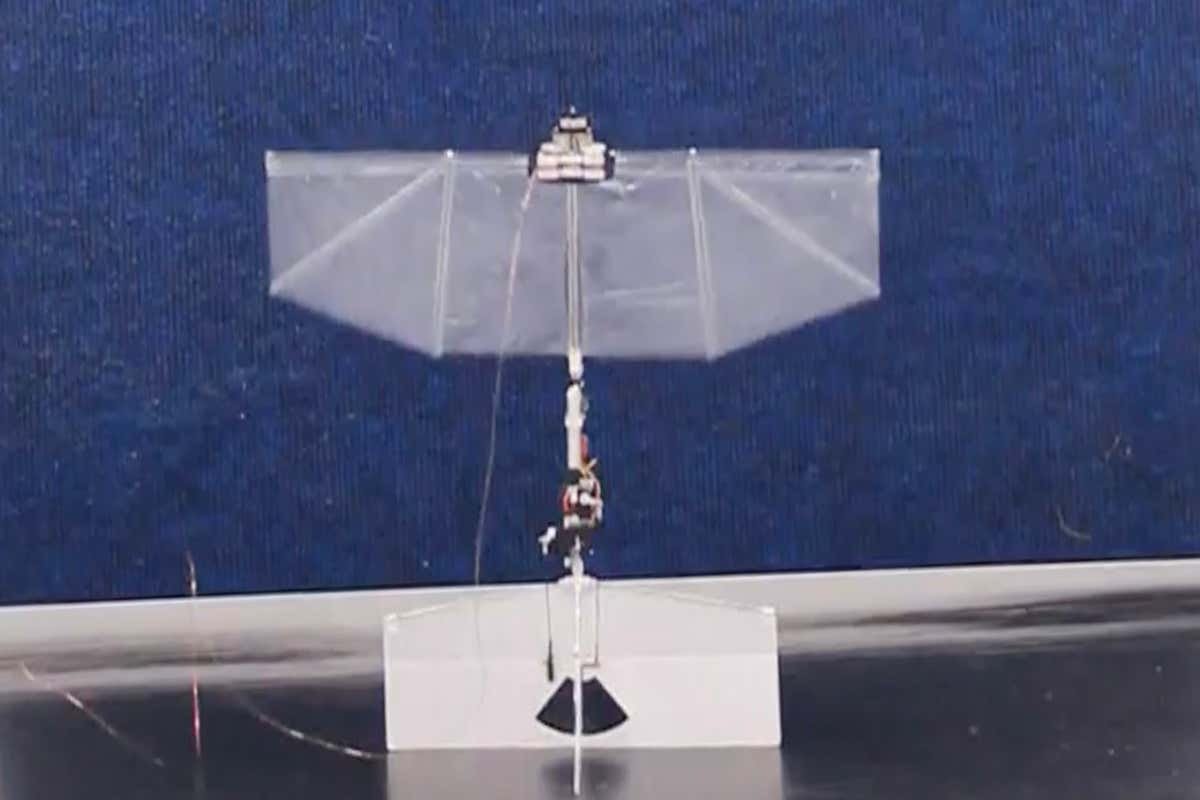 Flapping drone can fly, dart and hover like a bird