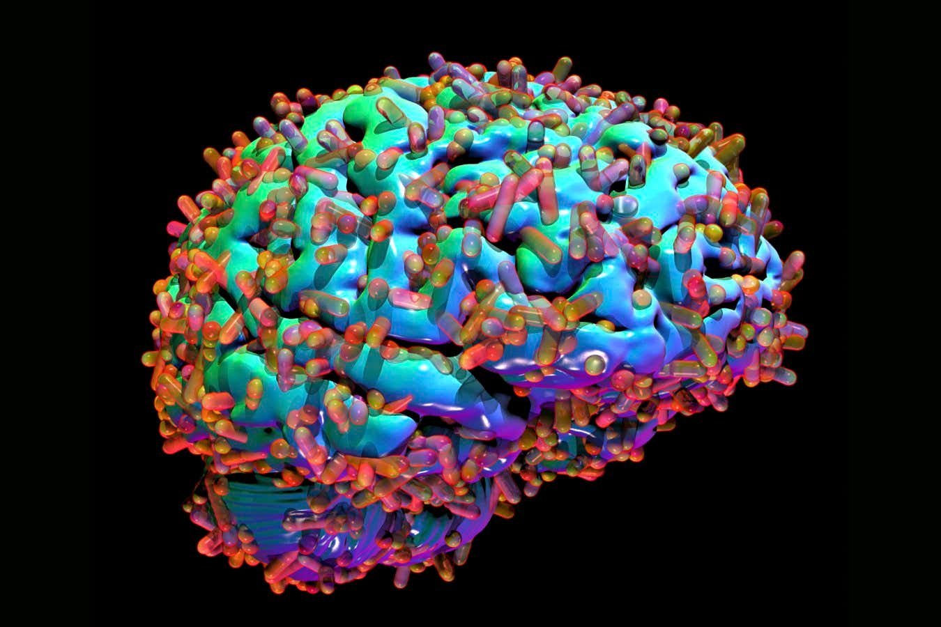 10 brilliant discoveries about the human brain - cover