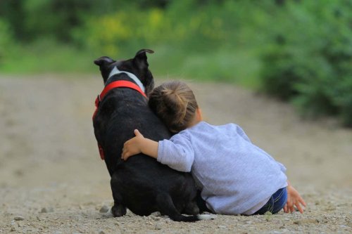 Living with a dog during childhood may reduce risk of Crohn’s disease