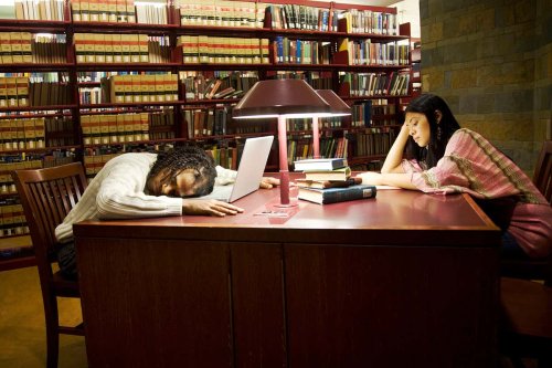 Napping before an exam is as good for your memory as cramming