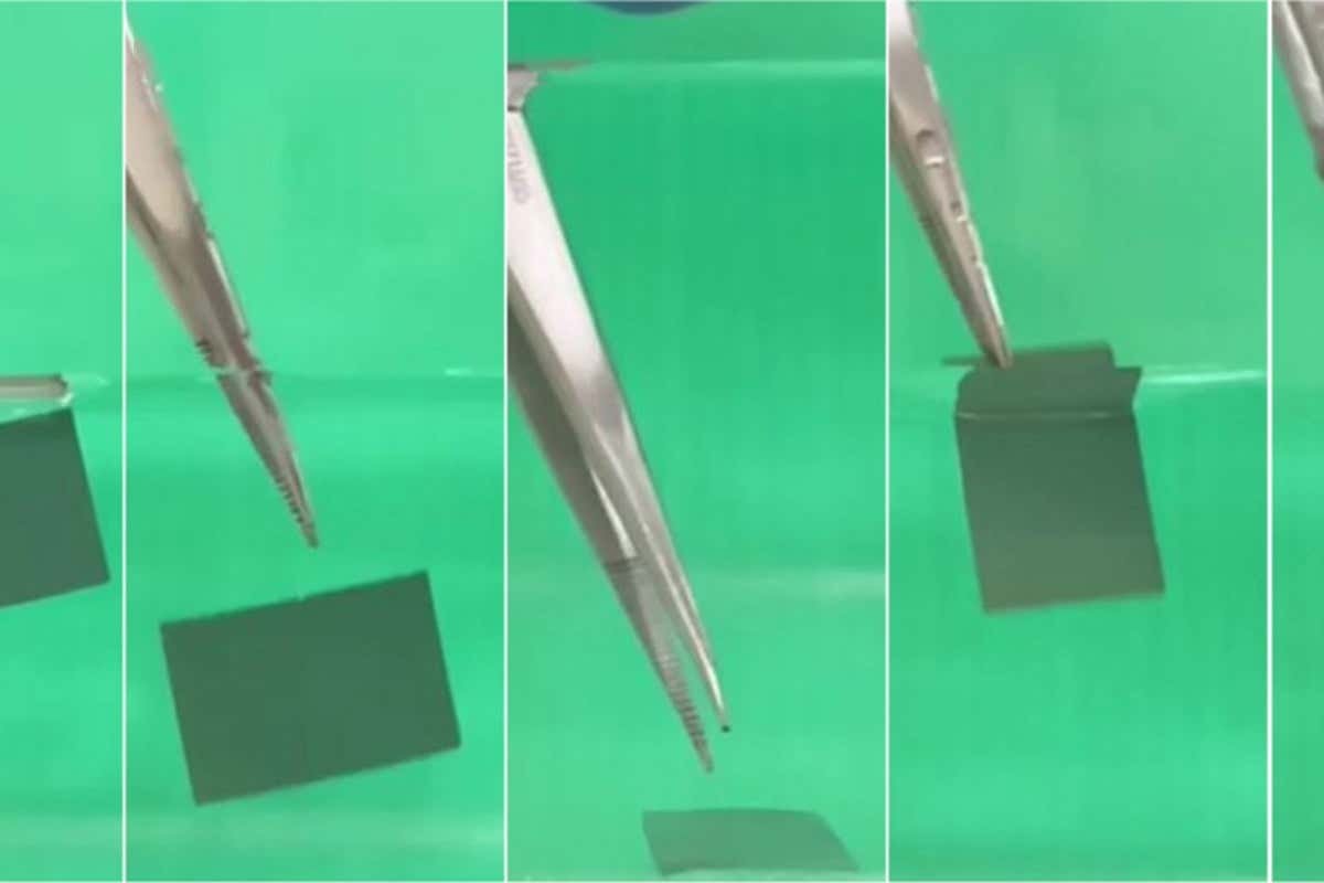Steel foil coated with nanowires does backflips out of water