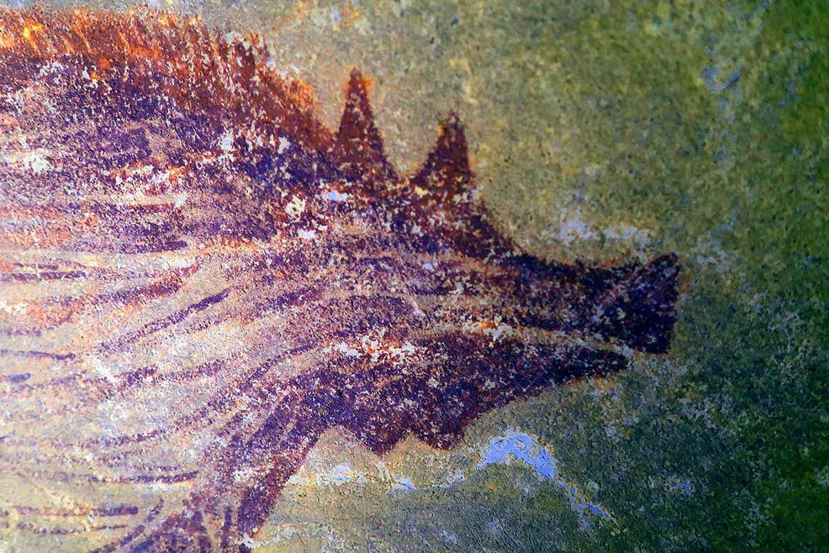 World’s oldest painting of animals discovered in an Indonesian cave