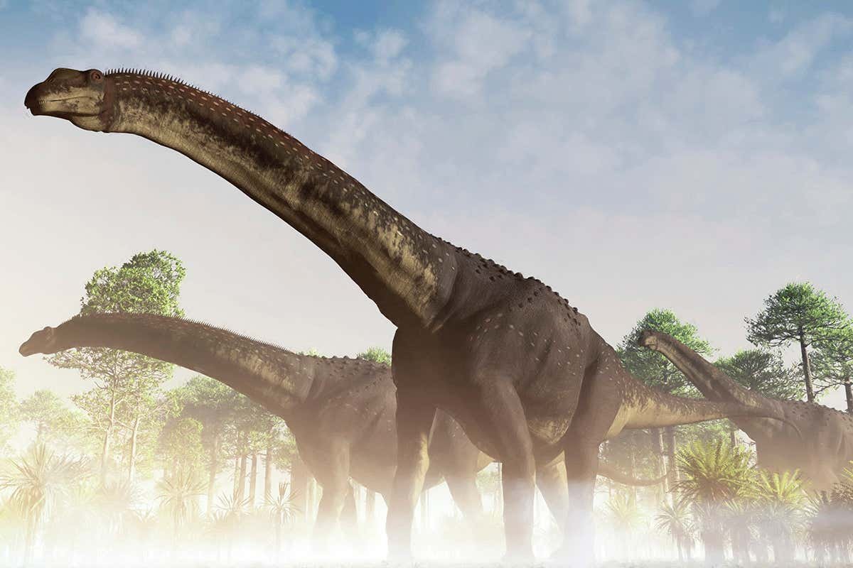 Dinosaur found in Argentina may be largest land animal ever