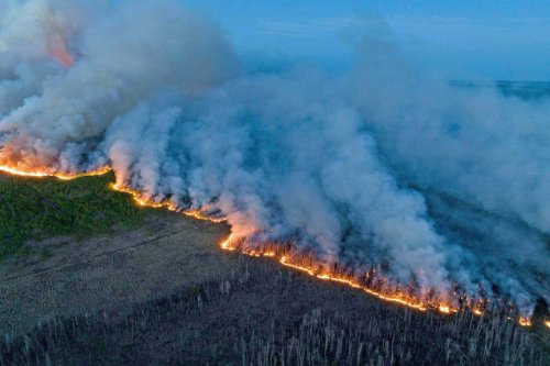Massive wildfires in Canada helped keep the world cooler in 2023