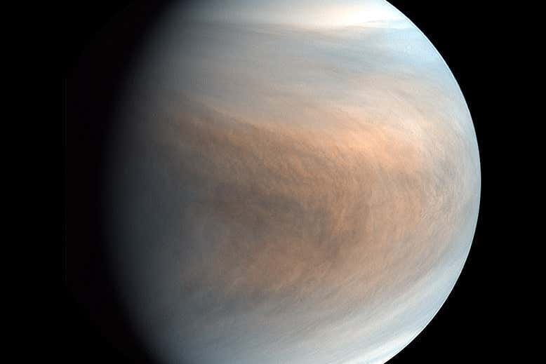 Life in the toxic clouds of Venus