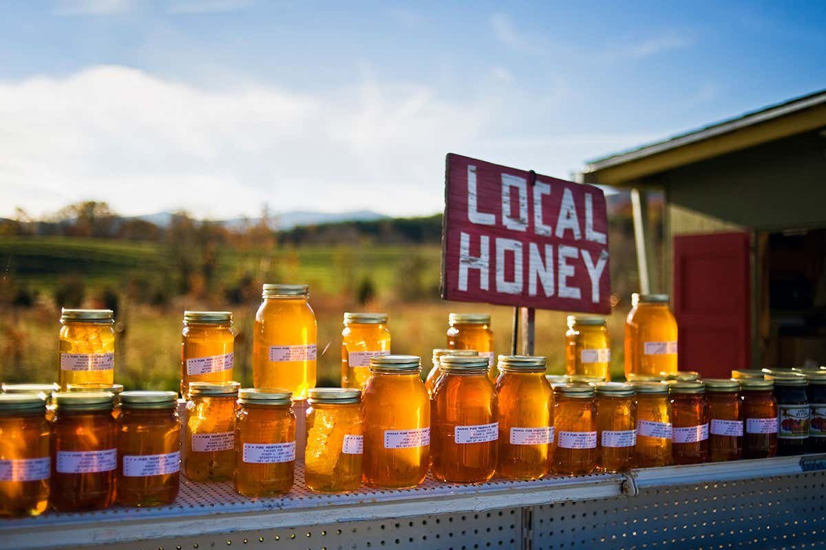 Does local honey really work as a hay fever cure?