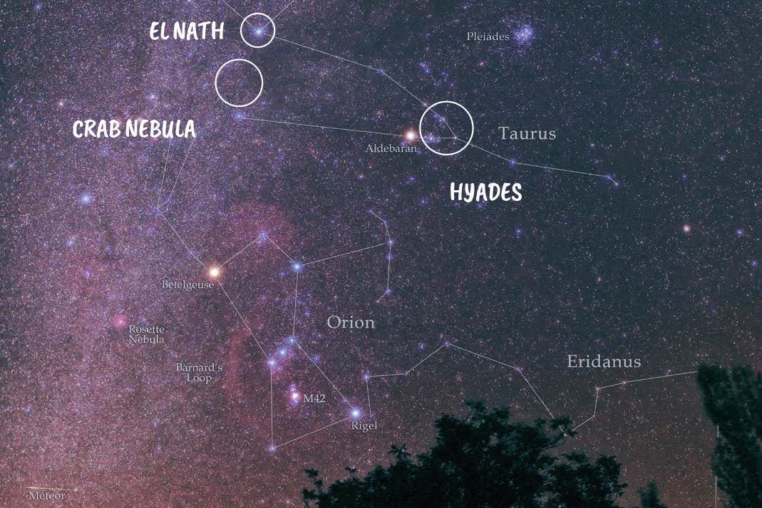 How to spot Taurus, star clusters and a meteor shower in the night sky