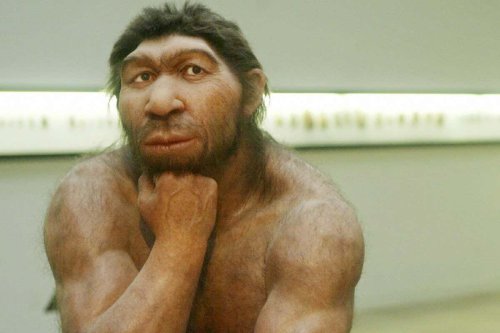 Antibiotics encoded in Neanderthal DNA could help us fight infections