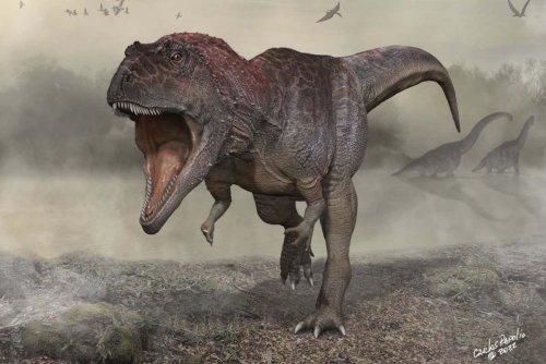 Meraxes gigas was a huge dinosaur with tiny arms like T. rex
