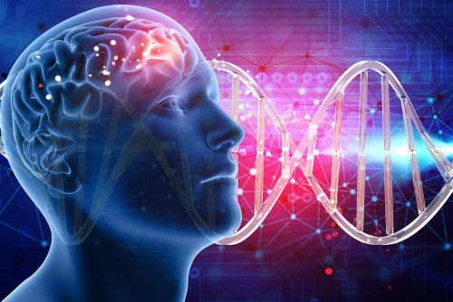 Found: more than 500 genes that are linked to intelligence