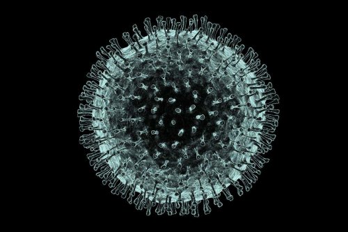 New coronavirus may be much more contagious than initially thought