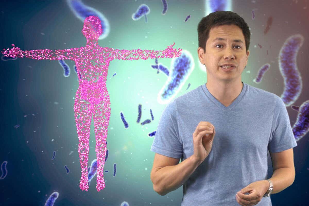 The microbiome: How gut bacteria regulate our health