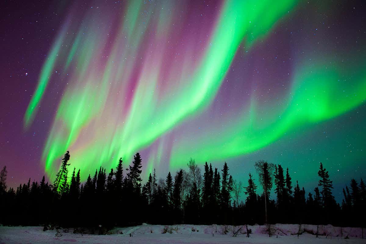 See the northern lights or aurora borealis: Follow this easy guide