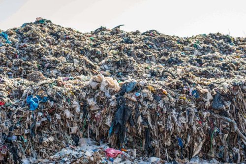 Bacteria and catalysts recycle waste plastic into useful chemicals
