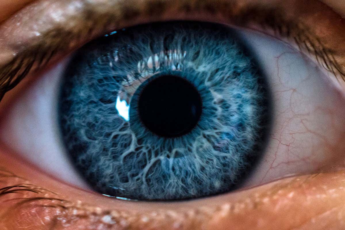 Your eyes can reveal your decisions before you've even made them