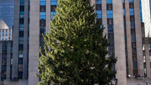Mayor: Tickets required to view Rockefeller Center Christmas tree