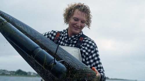 Faces of Long Island: WNBA star nets success in oyster farming