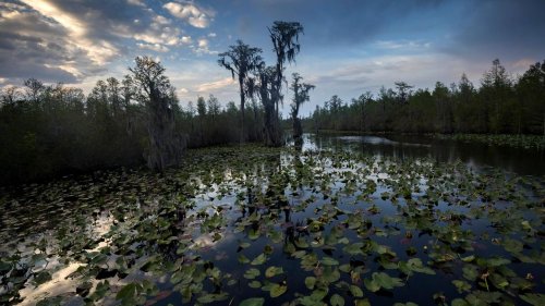 Georgia lawmakers weigh a 3-year pause on expansion permits for planned Okefenokee mine
