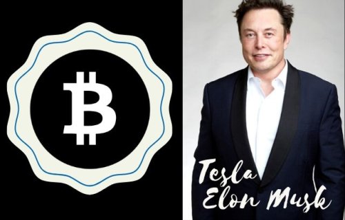 Elon Musk Loaded Up In Dogecoin before Pumping Bitcoin – Peter Schiff