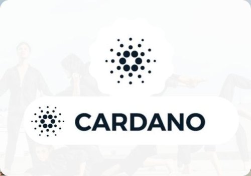 Cardano’s IOHK Rebrands, Enters Final Stages of a Large Government Contract