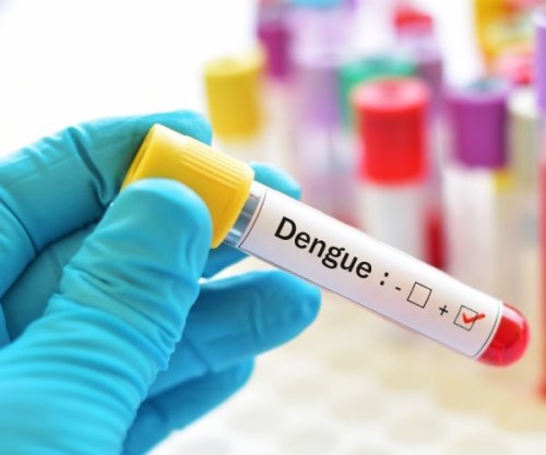 Puerto Rico Declares an Epidemic After Dengue Spike