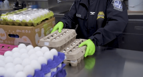 Why contraband eggs are piling up at the US-Mexico border