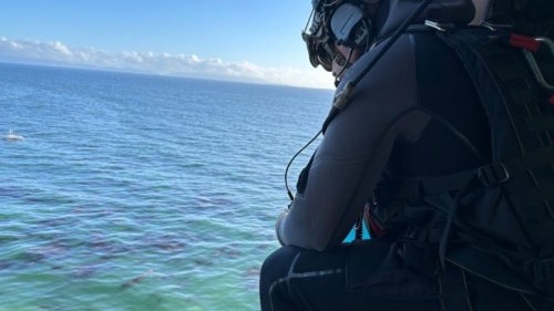 Pilot, dog swim to shore after ocean landing off California coast