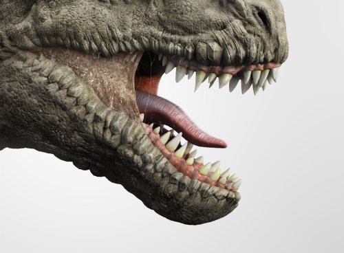 Dinosaurs didn’t roar like the movies; Here’s how they sounded