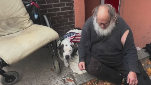 Homeless veteran in wheelchair won’t give up dog for spot in shelter