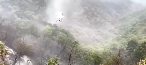 Mexico van crash kills 12, sparks forest fire