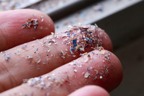 What are microplastics? Are they dangerous?