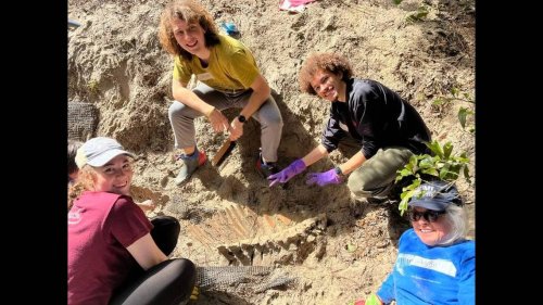 Huge sea creature’s skeleton was buried on NC coast. It’s now getting a second life