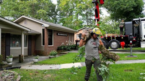 NC needs housing, work for local sawmills. Will this Triangle tree service’s plans help?