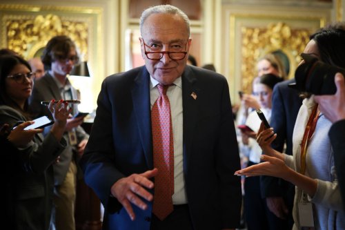 Sen. Chuck Schumer Sold Us Out With His Vote