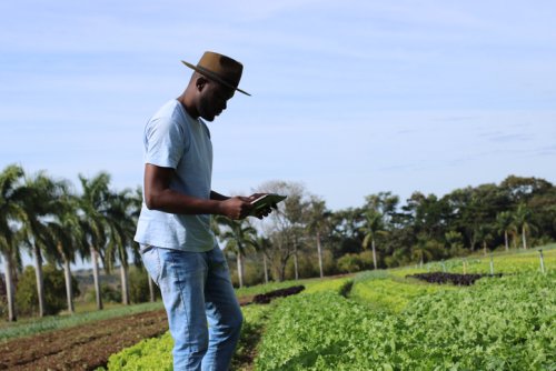 U.S. Black Farmers Left Frustrated As Promises To Help Still Go Unanswered