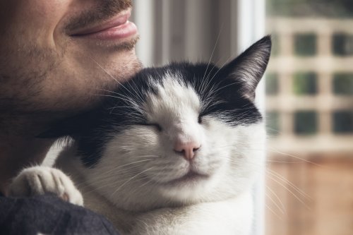 Man's Relationship With Cat He 'Didn't Want' Melts Hearts