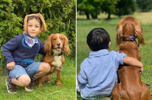 Autistic 5-Year-Old Boy's Life Gets Transformed By His Remarkable Dog