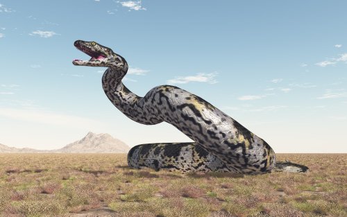 Paleontologists Discover 'Exceptionally Large' Fossil Snake
